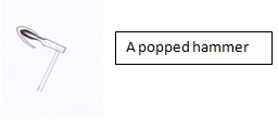 A popped piano hammer